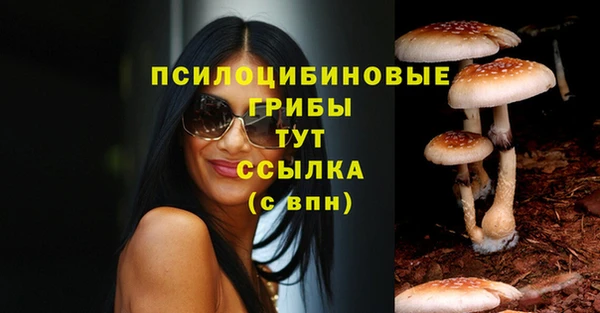 мяу мяу мука Горно-Алтайск
