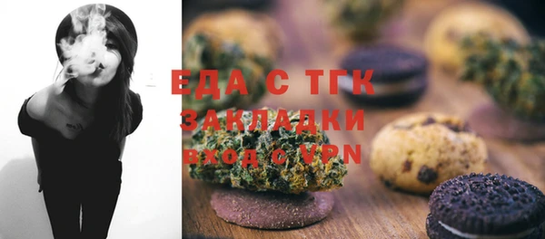 гашик Горняк