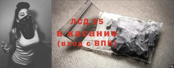 гидра Гусь-Хрустальный