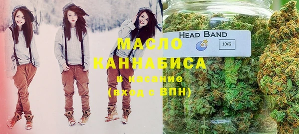 гашик Горняк