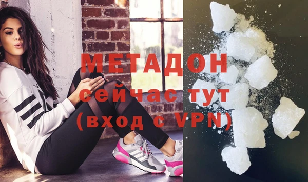 прущие грибы Вязники