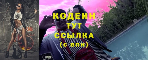 гидра Гусь-Хрустальный