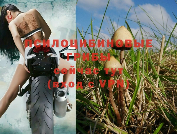 стафф Горнозаводск