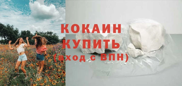 гидра Гусь-Хрустальный