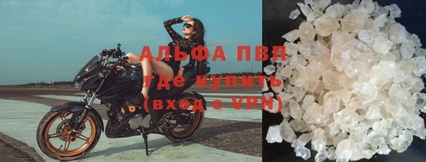 индика Алагир