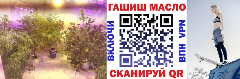 где купить   Данков  ТГК THC oil 