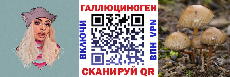 Галлюциногенные грибы Cubensis  где купить наркотик  Данков 